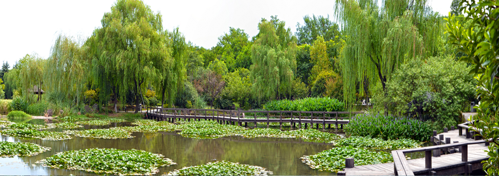 url(http://m.rcfu.cn/theme/TP000163/pic/banner4.jpg)